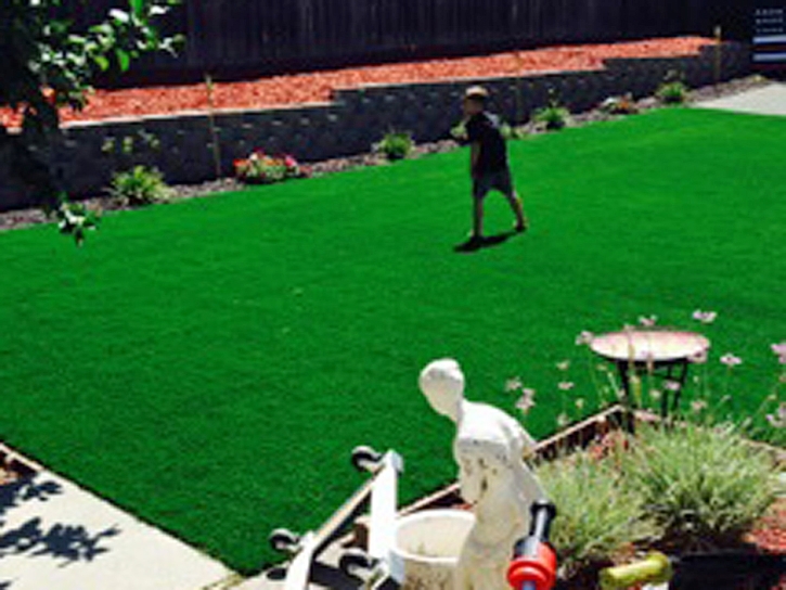 Artificial Turf Installation Eucalyptus Hills, California Roof Top, Backyard Design