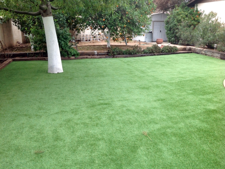 Artificial Turf Installation Imperial Beach, California Landscape Photos, Small Backyard Ideas