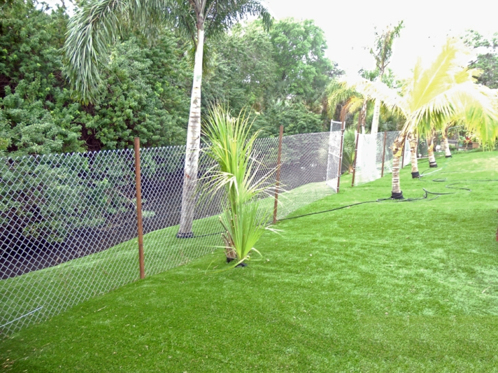 Artificial Turf Installation Niland, California Home And Garden, Small Backyard Ideas