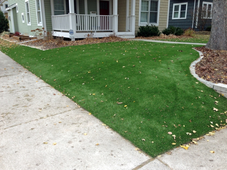 Artificial Turf Installation Oceanside, California Lawn And Garden, Front Yard Ideas