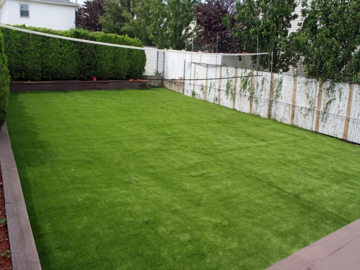 Artificial Turf Installation Potrero, California Rooftop, Backyard Makeover