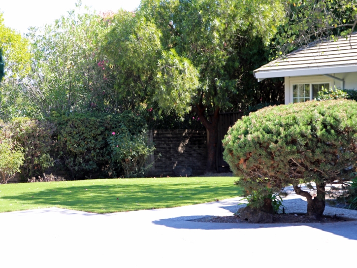 Artificial Turf Installation Valley Center, California Landscape Design, Front Yard