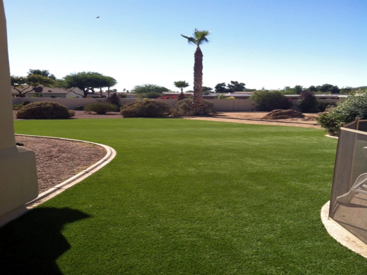 Artificial Turf La Jolla, California Landscape Rock, Backyard