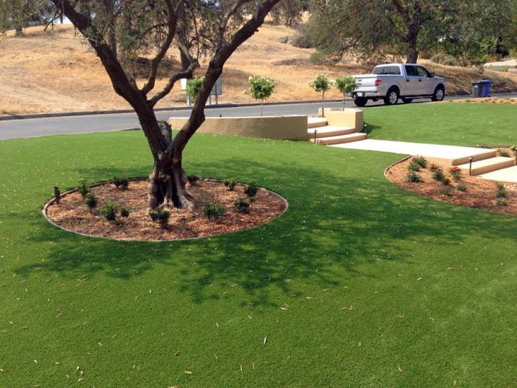 Artificial Turf La Presa, California Landscape Photos, Small Front Yard Landscaping