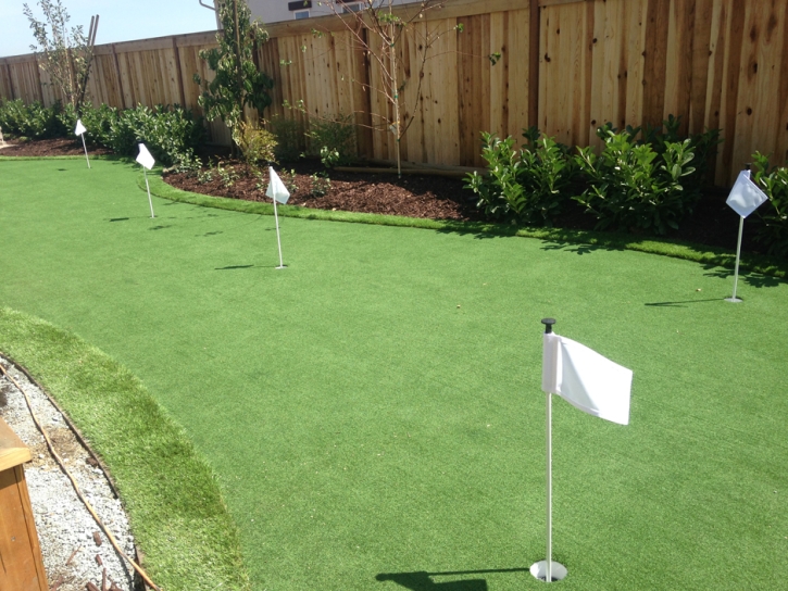 Artificial Turf National City, California Design Ideas, Backyard Landscaping