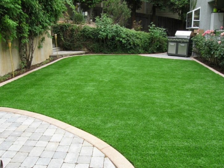 Artificial Turf Poway, California Landscape Ideas