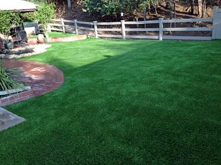 Artificial Turf Rainbow, California Cat Playground, Backyard Design