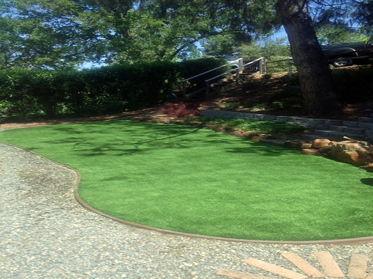 Artificial Turf Salton City, California Landscaping Business, Backyard Landscaping