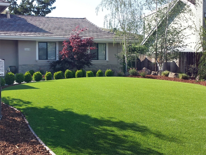 Artificial Turf Vista, California Landscape Design, Front Yard Design