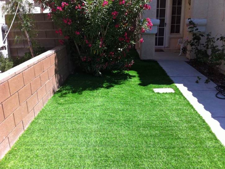 Artificial Turf Winter Gardens, California Garden Ideas, Front Yard Landscaping