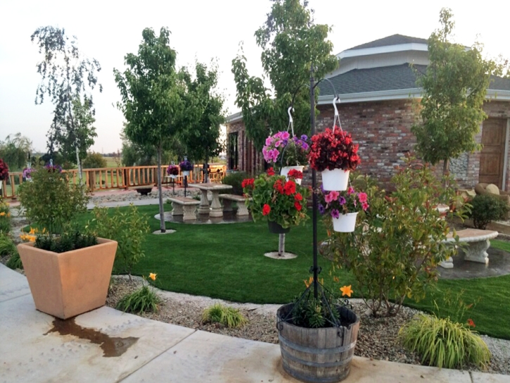 Best Artificial Grass Casa de Oro-Mount Helix, California Rooftop, Commercial Landscape