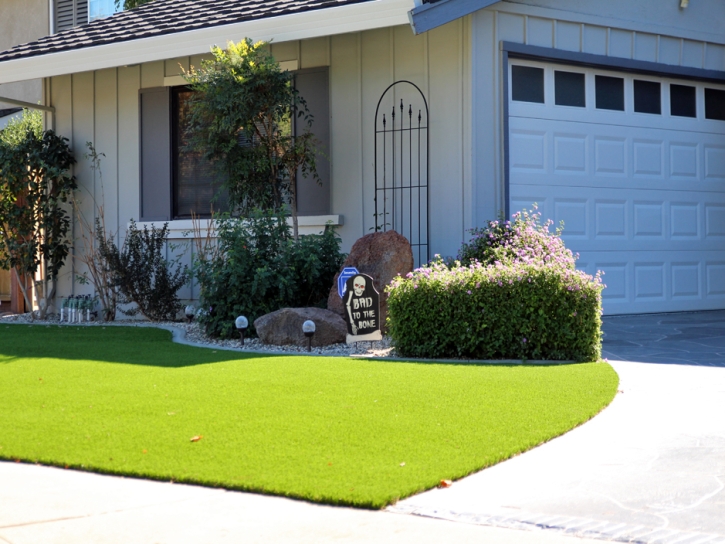 Best Artificial Grass Fallbrook, California Lawns, Front Yard Landscaping Ideas