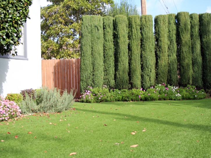 Best Artificial Grass Hidden Meadows, California Landscape Design, Front Yard Landscaping Ideas