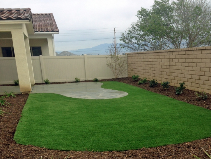 Best Artificial Grass La Mesa, California Lawn And Landscape, Beautiful Backyards