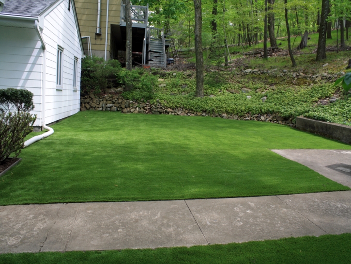 Best Artificial Grass National City, California Lawns, Front Yard Landscaping