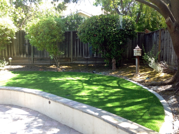 Best Artificial Grass National City, California Backyard Deck Ideas, Commercial Landscape