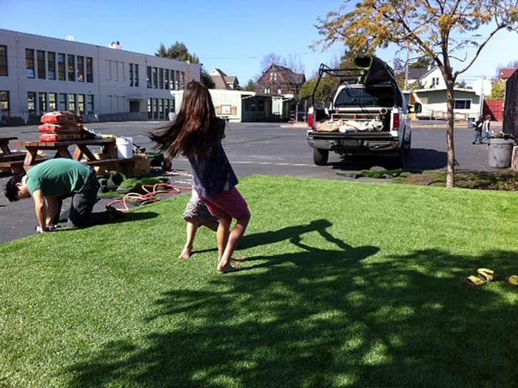 Best Artificial Grass Rainbow, California Gardeners, Commercial Landscape