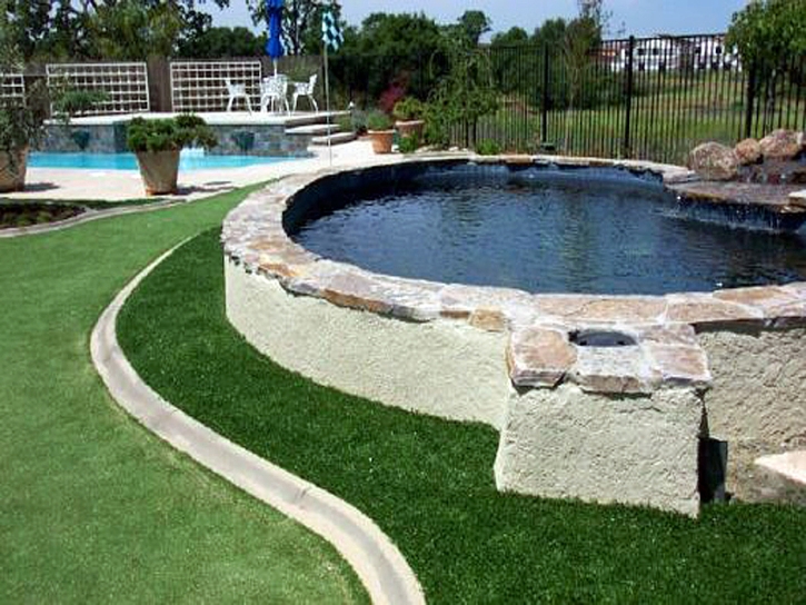 Best Artificial Grass San Pasqual, California Landscape Design, Kids Swimming Pools