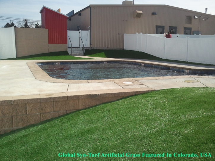 Best Artificial Grass Santee, California City Landscape, Natural Swimming Pools