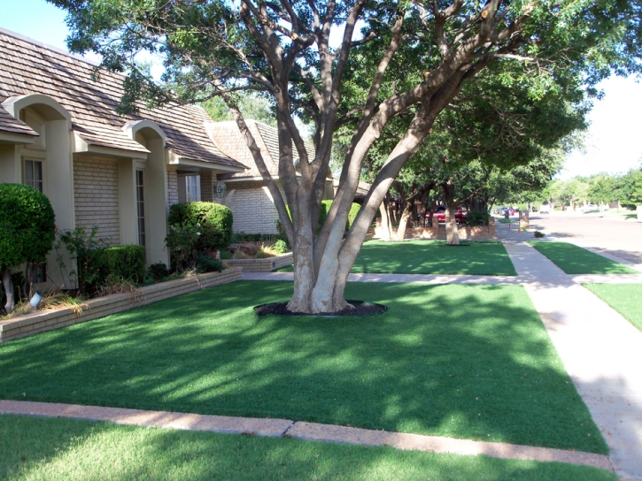 Fake Grass Carpet Alpine, California Home And Garden, Front Yard Landscaping