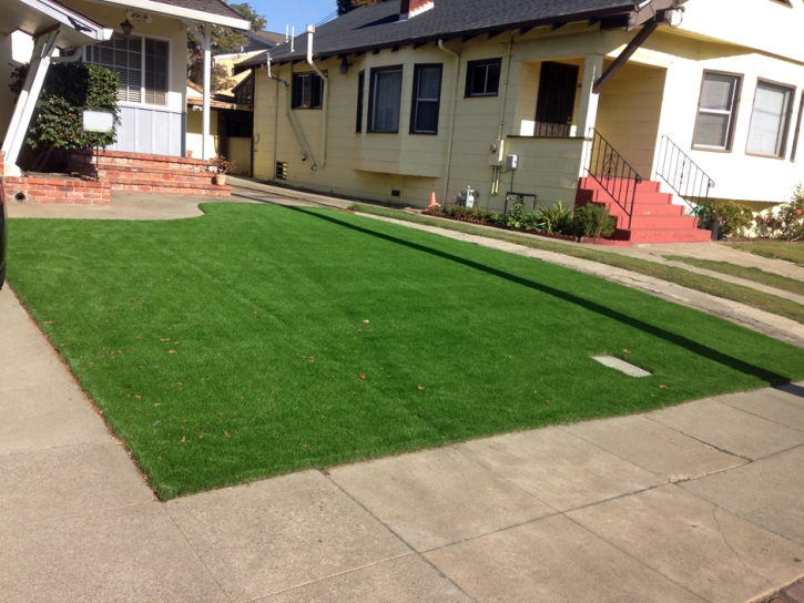 Fake Grass Carpet Campo, California Garden Ideas, Front Yard