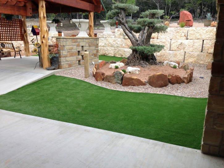 Fake Grass Carpet Coronado, California Lawn And Garden, Backyard Landscape Ideas