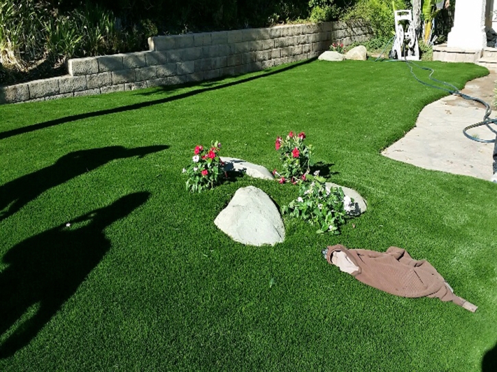 Fake Grass Carpet Eucalyptus Hills, California Paver Patio, Front Yard Design