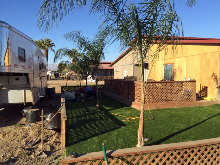 Fake Grass Carpet Harbison Canyon, California Landscape Ideas, Small Backyard Ideas