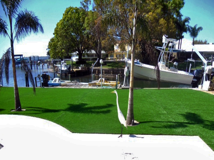 Fake Grass Carpet Jamul, California Lawn And Garden, Backyard Garden Ideas