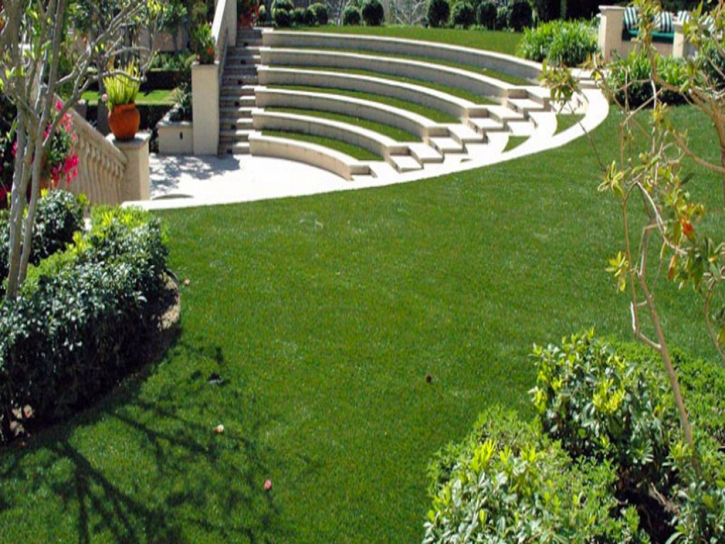 Fake Grass Carpet La Presa, California Landscape Ideas