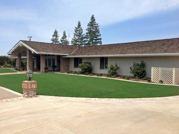 Fake Grass Carpet Oceanside, California Landscape Rock, Front Yard Landscaping