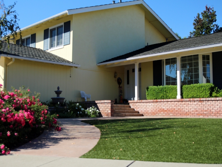 Fake Grass Carpet Oceanside, California Landscape Photos, Front Yard