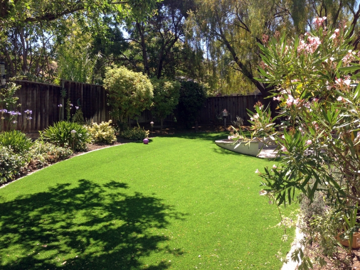 Fake Grass Carpet Potrero, California Lawn And Garden, Backyard