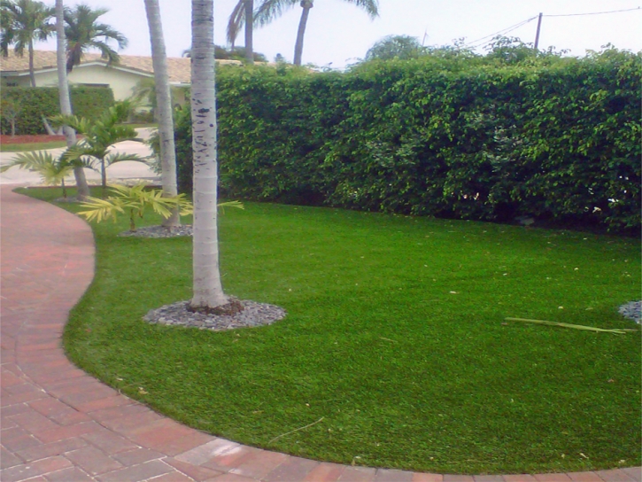 Fake Grass Carpet Rancho Santa Fe, California Gardeners, Front Yard Landscape Ideas