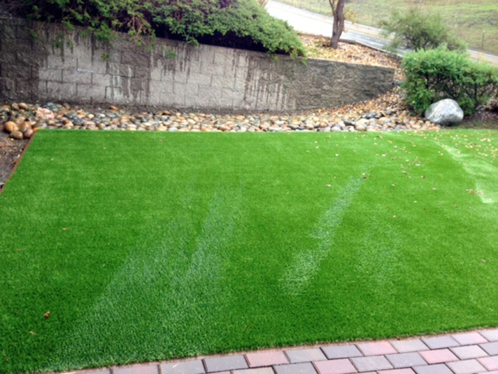 Fake Grass Carpet Rancho Santa Fe, California Rooftop, Front Yard Landscaping