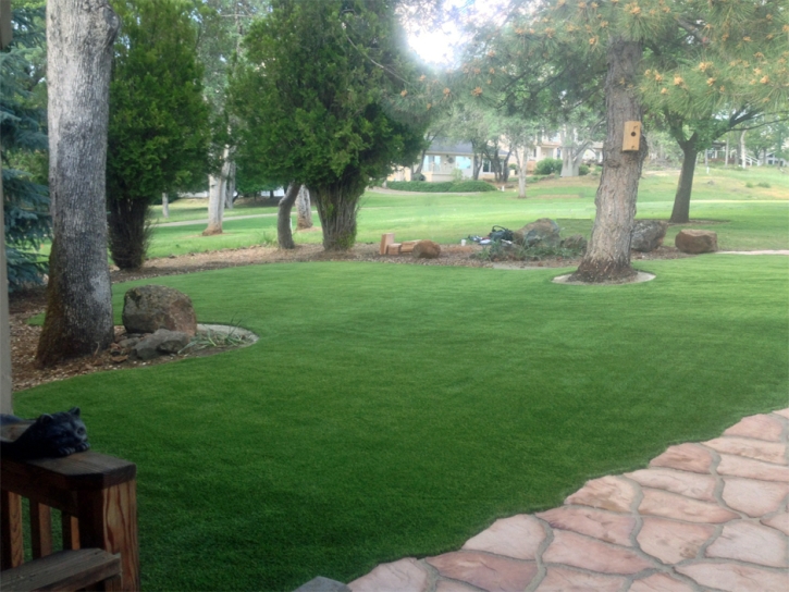 Fake Grass El Cajon, California Gardeners, Front Yard Design