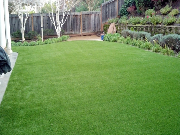 Fake Grass Jamul, California Backyard Deck Ideas, Backyard Design