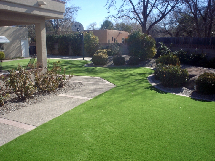 Fake Grass Rainbow, California Lawns, Small Front Yard Landscaping