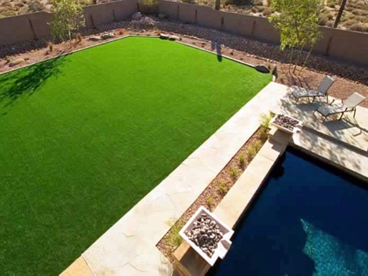 Fake Grass San Diego, California Garden Ideas, Backyard Makeover