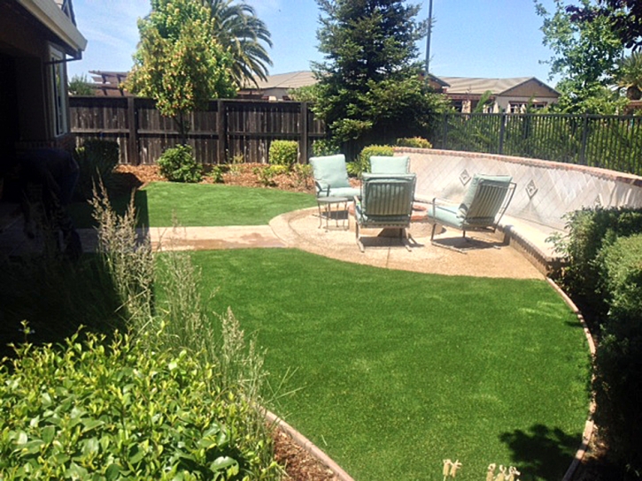 Fake Lawn Bonsall, California Home And Garden, Small Backyard Ideas