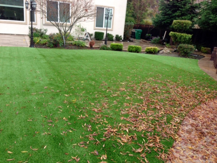 Fake Lawn Coronado, California Roof Top, Backyard