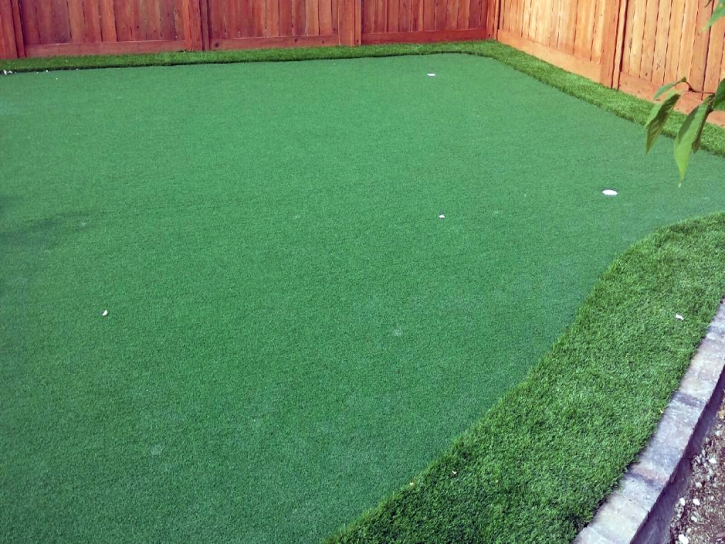 Fake Lawn Descanso, California Diy Putting Green, Backyards