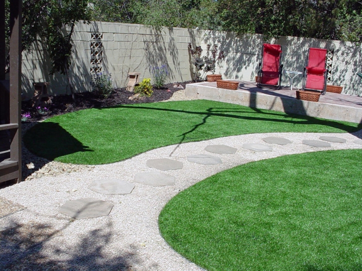 Fake Lawn Granite Hills, California Lawns, Backyard Landscape Ideas