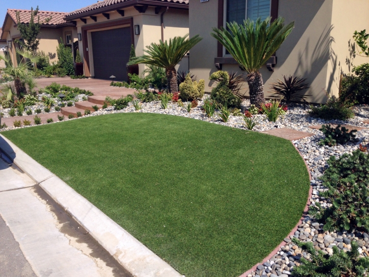 Fake Lawn Ramona, California Garden Ideas, Front Yard Design