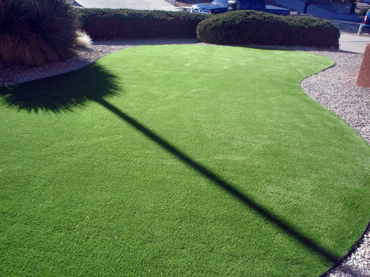 Fake Lawn San Pasqual, California Lawn And Landscape, Front Yard Landscape Ideas