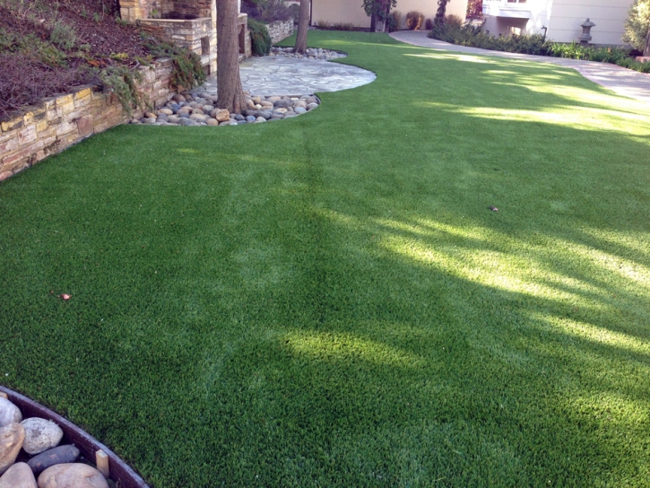 Fake Lawn Winter Gardens, California Roof Top, Backyard Landscape Ideas