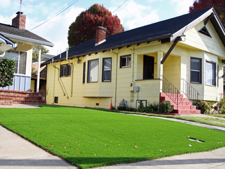 Fake Turf Coronado, California Roof Top, Front Yard Landscape Ideas