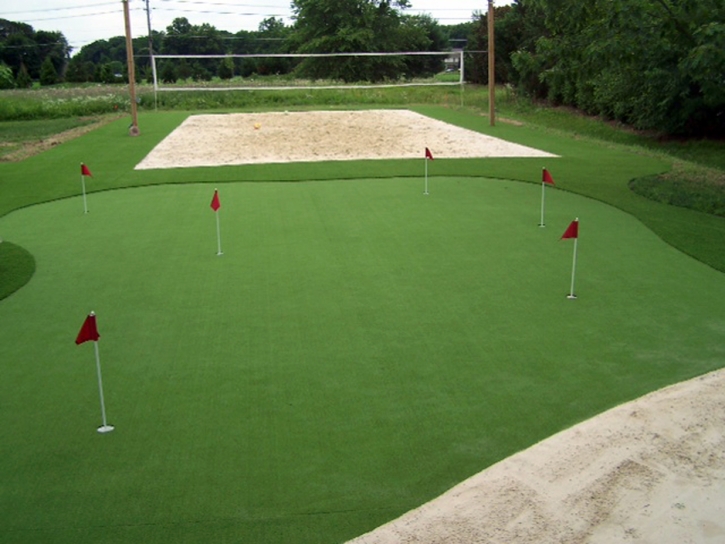 Fake Turf El Cajon, California Sports Athority, Backyard Landscaping