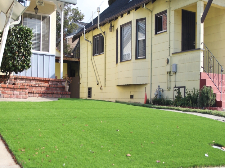 Fake Turf Eucalyptus Hills, California Home And Garden, Front Yard Landscape Ideas