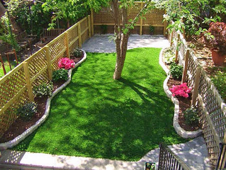 Fake Turf Granite Hills, California Lawn And Garden, Backyard